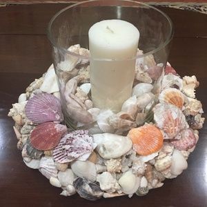 Unique Seashell Candleholder